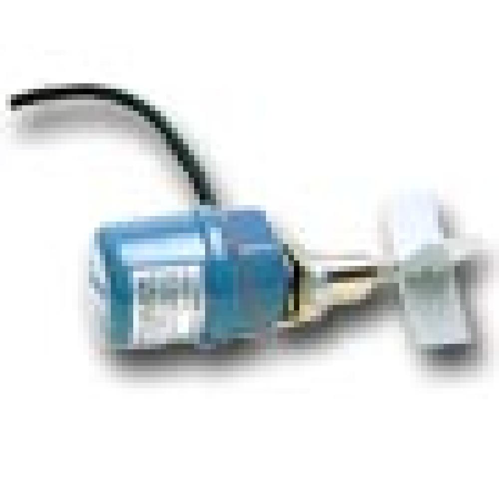 Paddle Level Switch