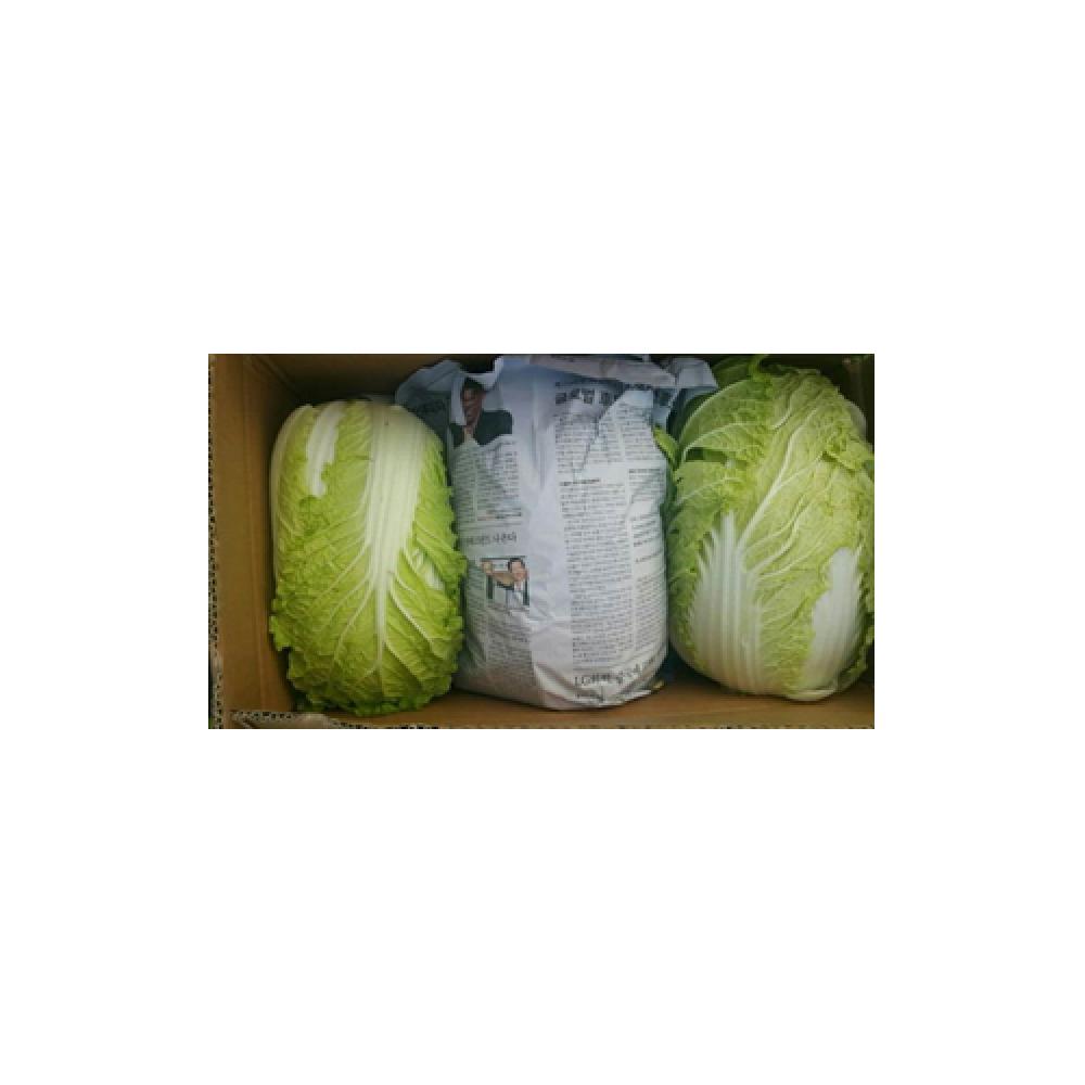 CHINESE CABBAGES