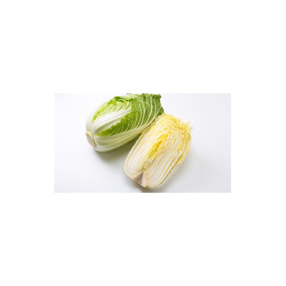 CHINESE CABBAGES