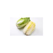 CHINESE CABBAGES