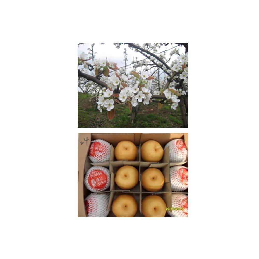 PEAR