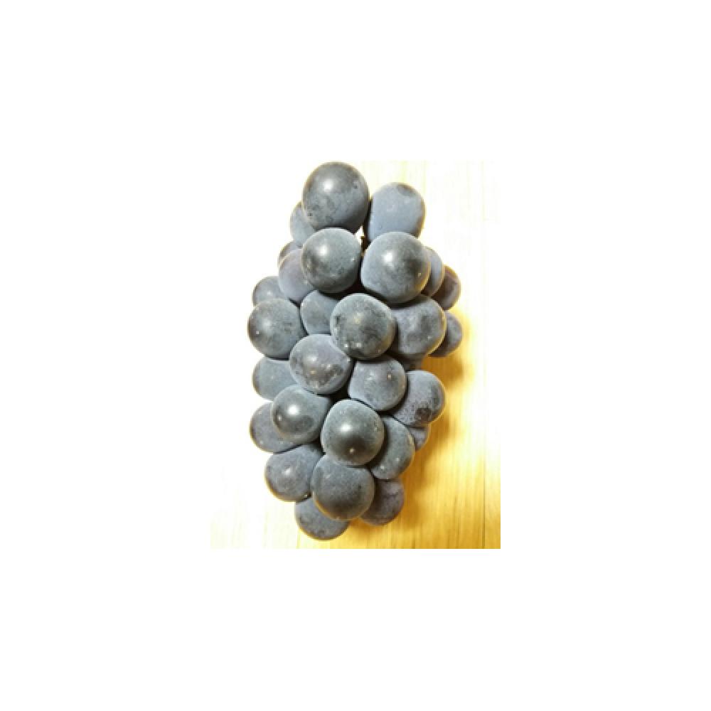 Grape