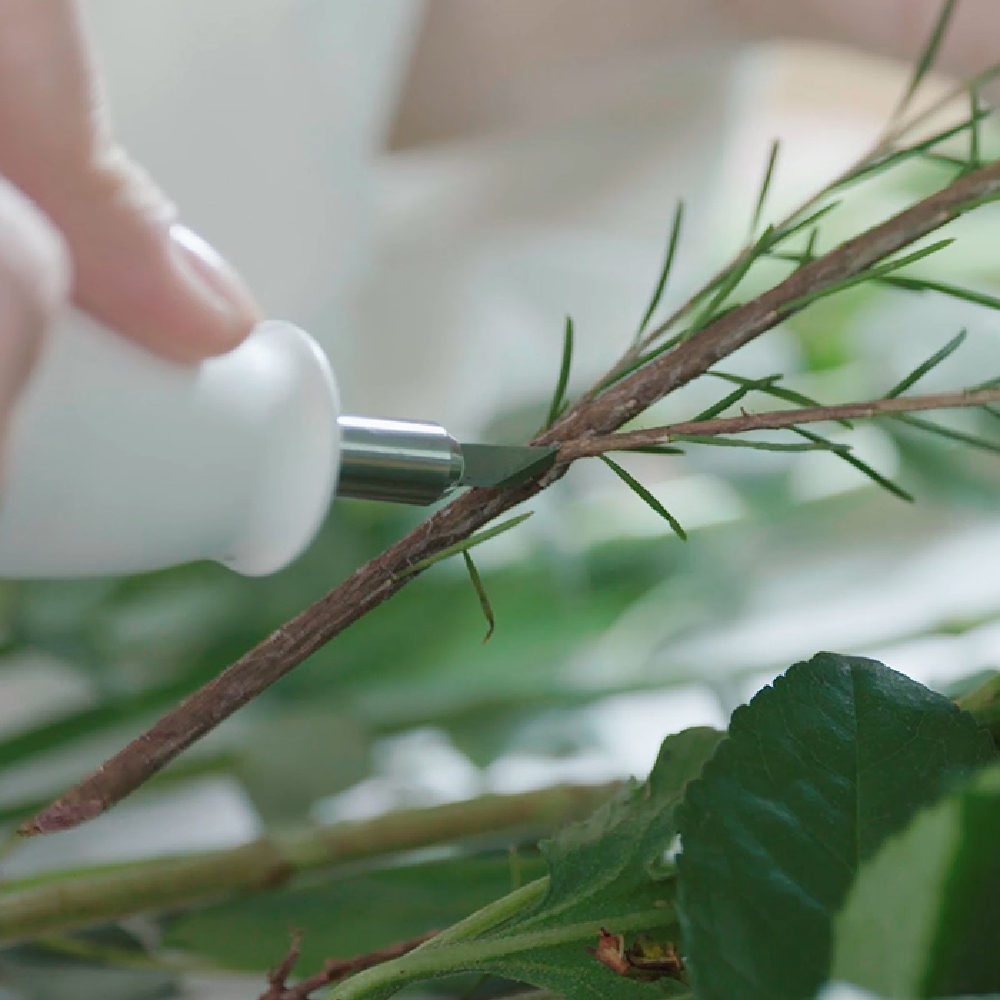 Ultrasonic cutter, 40,000 vibrations per second WONDERCUTTER S(Dark Grey,  Light Blue) made in Kroea