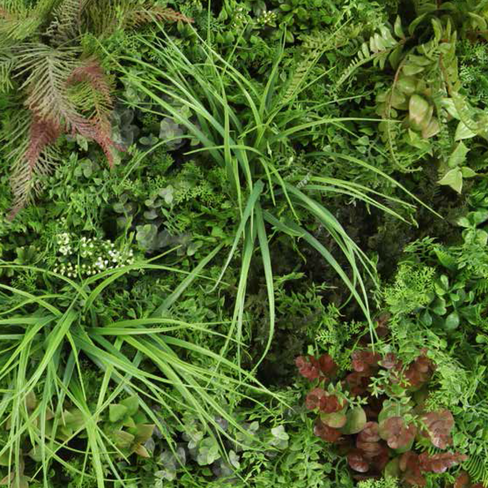 GREEN DISPLAY VISTRO