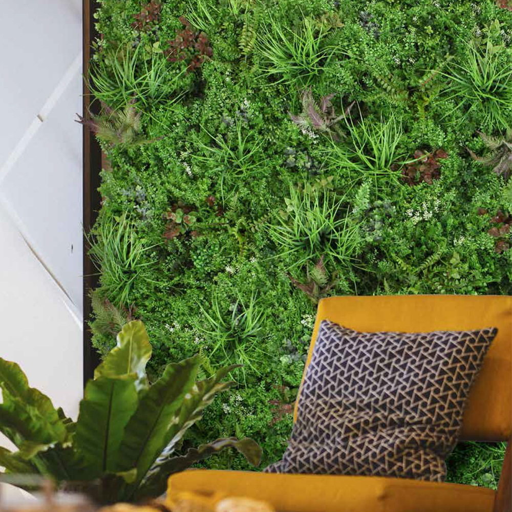 GREEN DISPLAY OLIVE, Vertical garden