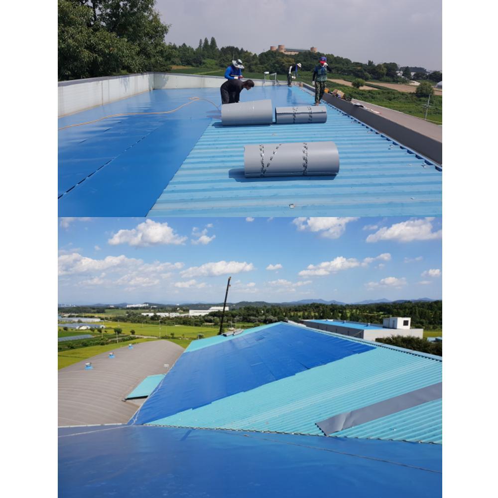 Single ply Roofing system (WATER-GUARD)