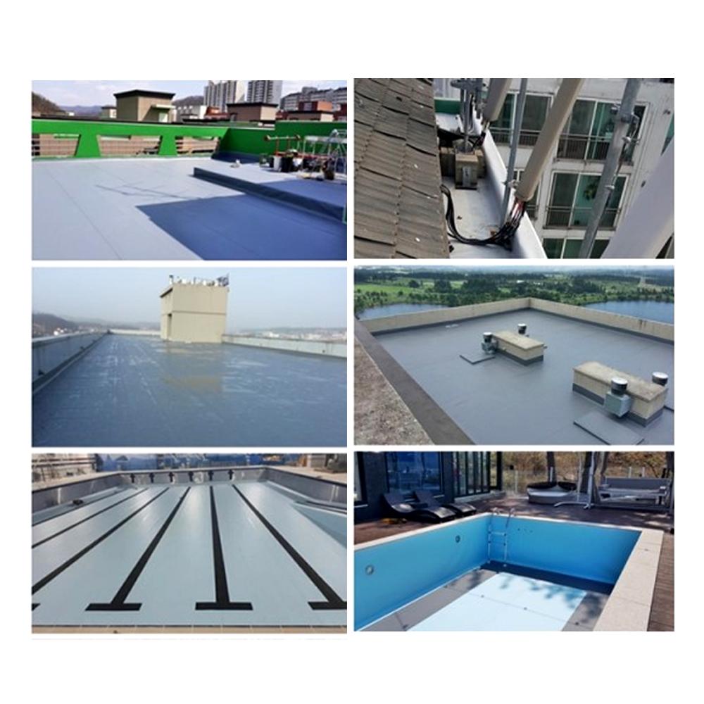 Single ply Roofing system (WATER-GUARD)