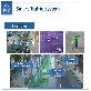 full image Smart Traffic System