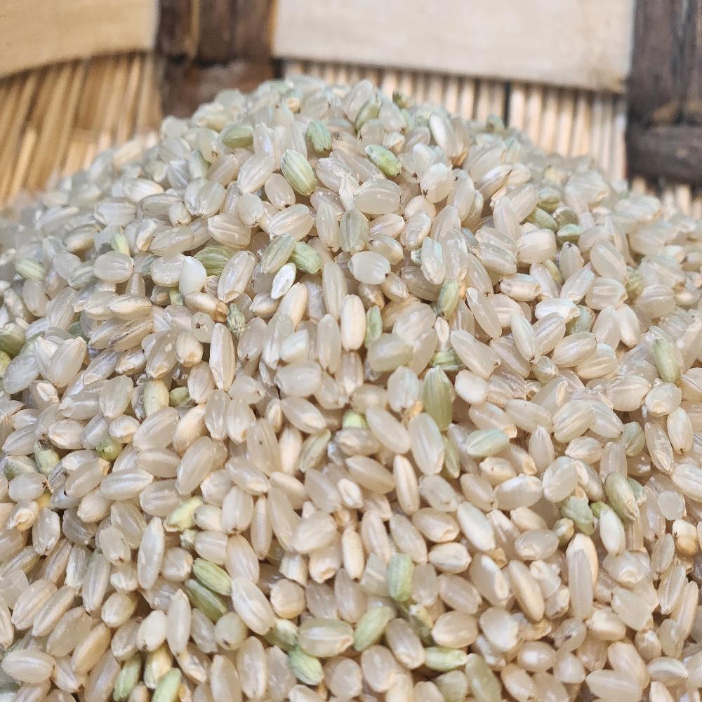 Goindol Rice -Brown rice 2kg