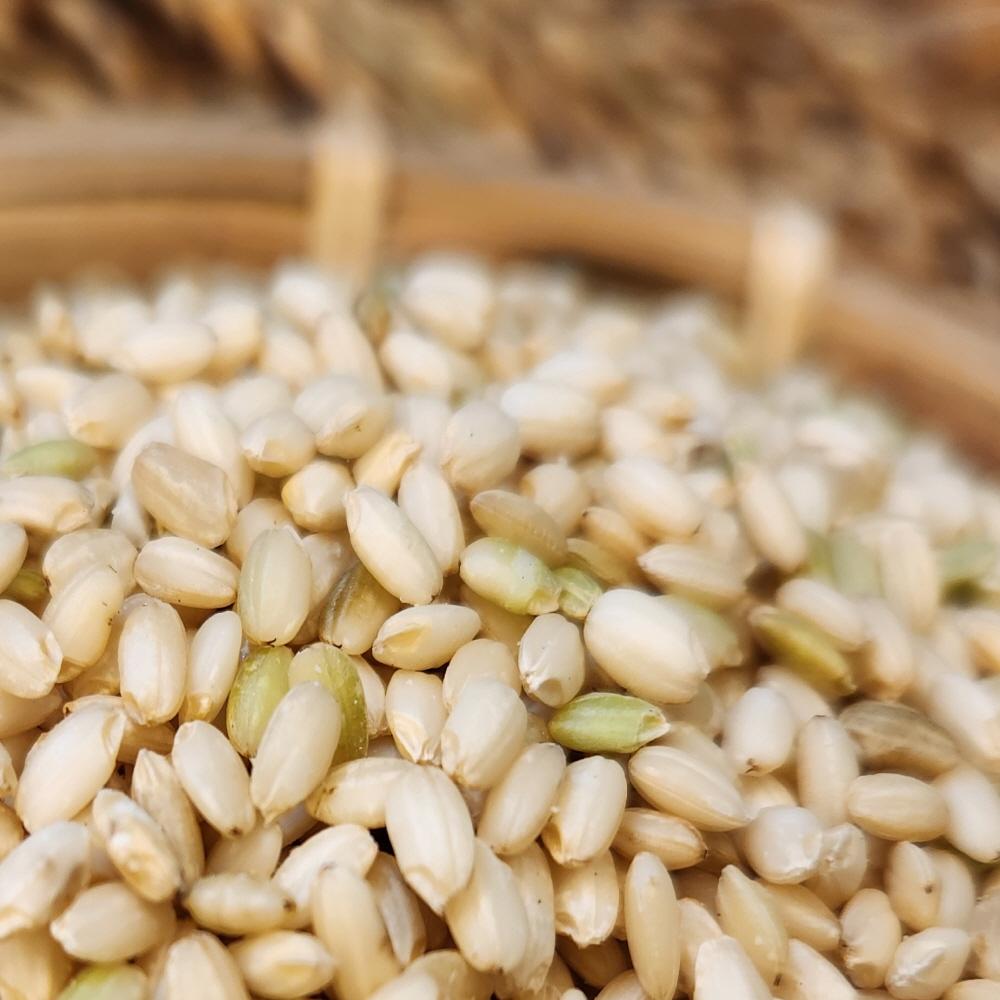 Goindol Rice - Glutinous Brown Rice 2kg