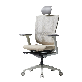 detail image1 BRAVO ergonomic office chair, task chair , home furniture , mesh chair