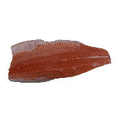 fish fillet sashimi