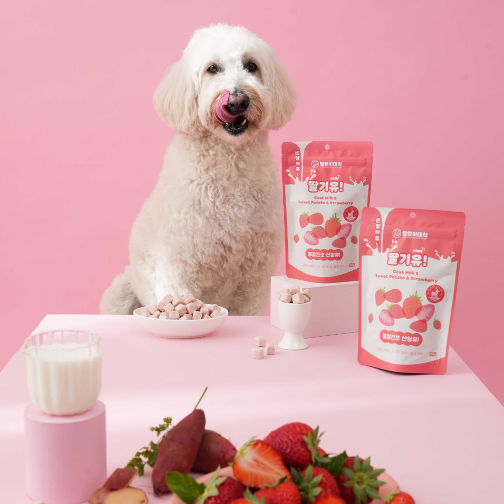 Doggy University It's Goat! Strawberry