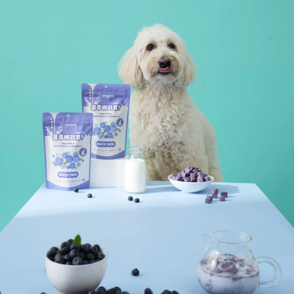 Doggy University It's Goat! Blueberry