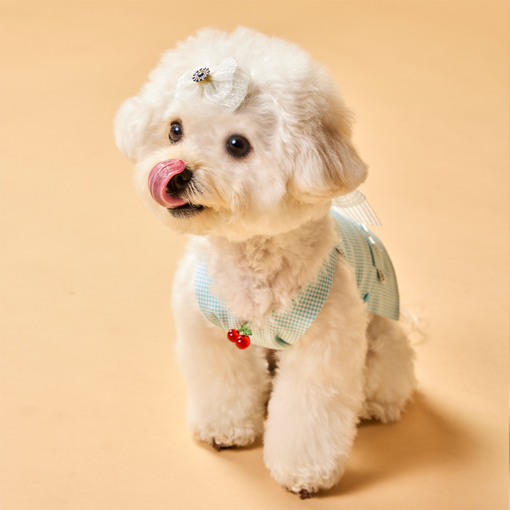 [COCOGIO] Cotton Candy Shoulder Strap Dress